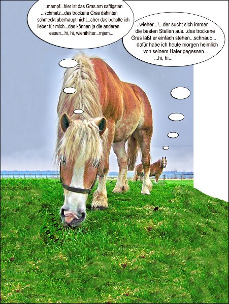 Haflinger Pferde und saftiges Gras