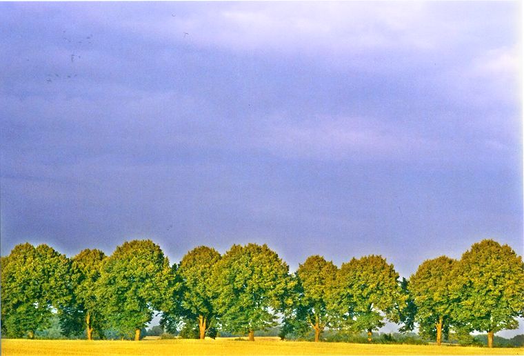 Steinhausen an der B105 in Mecklenburg-Vorpommern