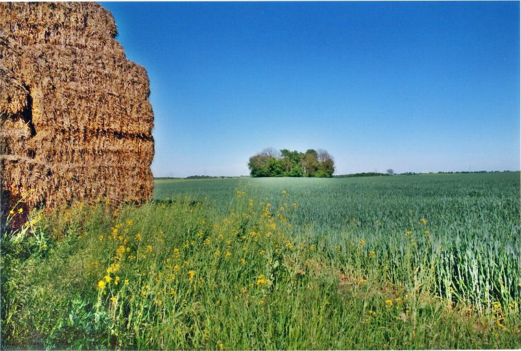 Landschaft in Mecklenburg Vorpommern