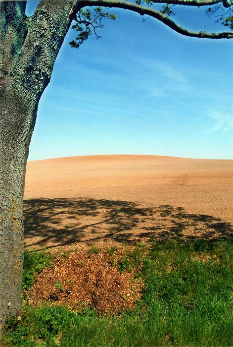 Lübberstorfer Landschaft in Mecklenburg-Vorpommern