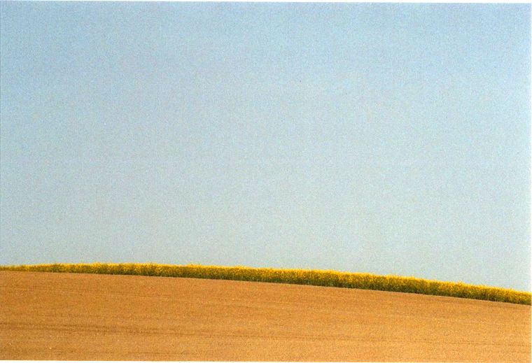 Lübberstorfer Landschaft in Mecklenburg Vorpommern