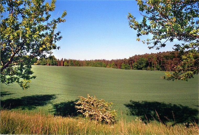 An der Landstraße - Landschaft in Mecklenburg-Vorpommern