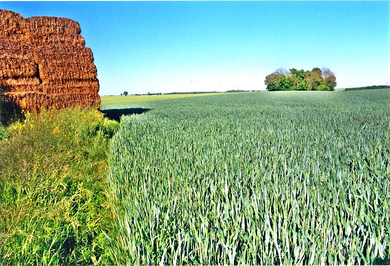 Heustapel und Feld - Landschaft in Mecklenburg-Vorpommern