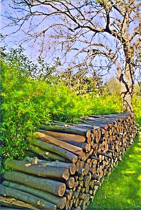 Werle Hof in Mistorf - Landschaft in Mecklenburg-Vorpommern