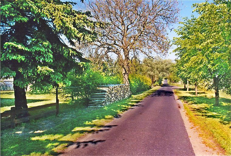 Werle Hof in Mistorf - Landschaft in Mecklenburg-Vorpommern