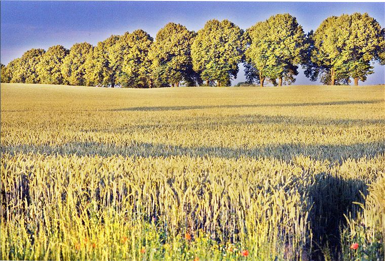 Steinhausen an der B105 in Mecklenburg-Vorpommern