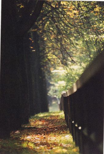 Goslar in Niedersachsen - Am Reiseckenweg