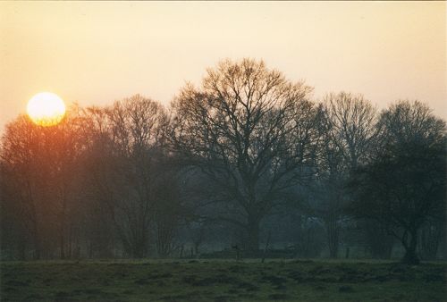 Osterholz-Scharmbeck bei Bremen