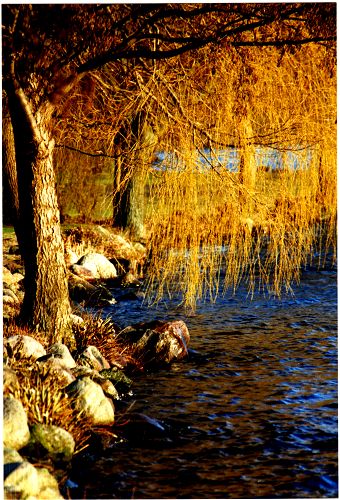 Kchensee in Ratzeburg