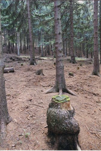 Rammelsberg - Goslar in Niedersachsen