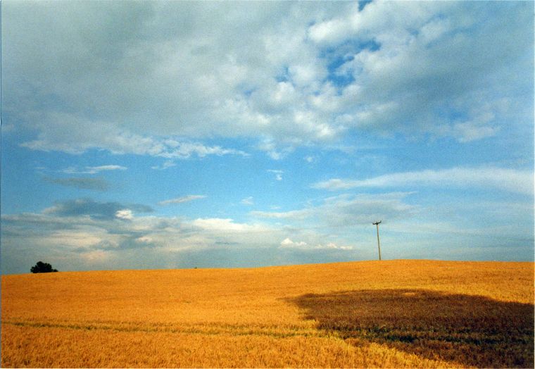 Felder in Mecklenburg Vorpommern