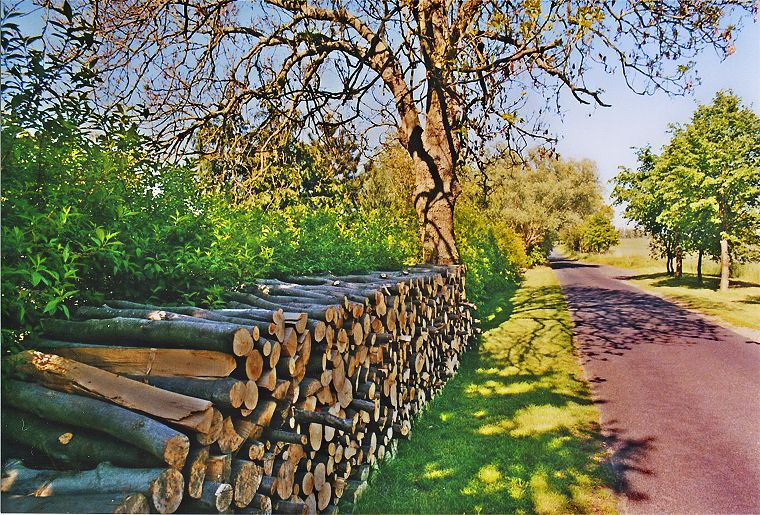 Werle Hof in Mistorf - Landschaft in Mecklenburg-Vorpommern