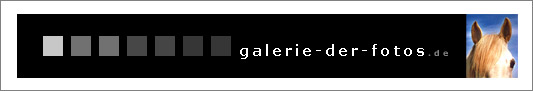 galerie-der-fotos.de - die-fotogalerie | Pferde |