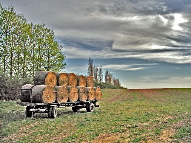 Heuwagen - Heuernte - Güstrow in Mecklenburg