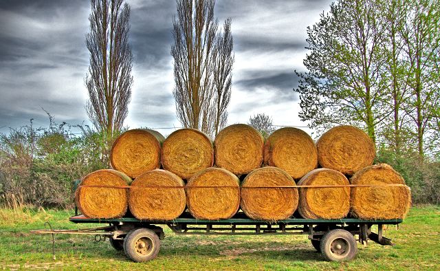 Heuwagen - Heuernte - Güstrow in Mecklenburg