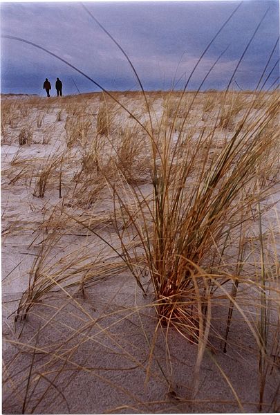 Am Strand von Warnemünde